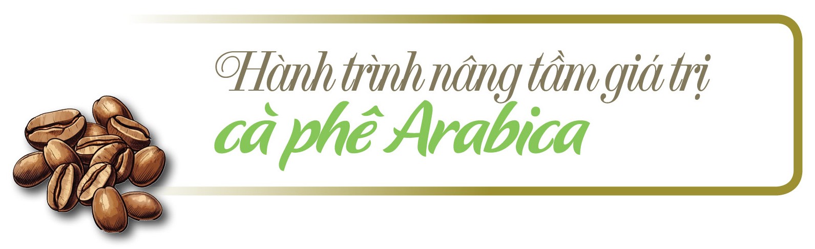 Longform | Cà phê Sơn La: Từ hạt thô đến thương hiệu đặc sản