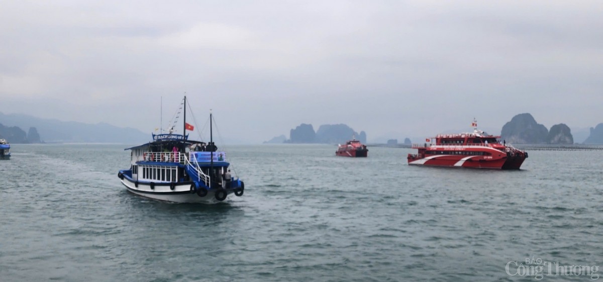 Quảng Ninh: Khai trương hành trình du lịch vịnh Bái Tử Long