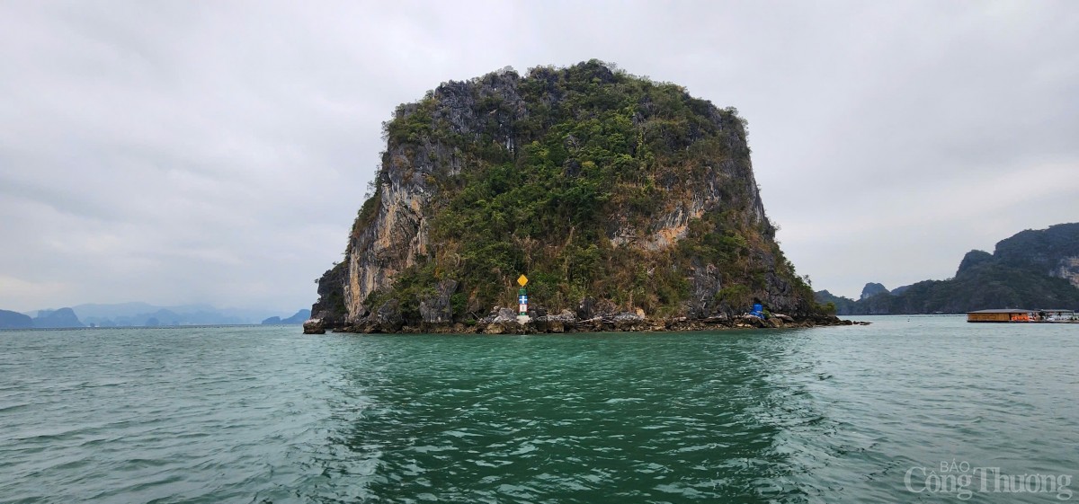 Quảng Ninh: Khai trương hành trình du lịch vịnh Bái Tử Long