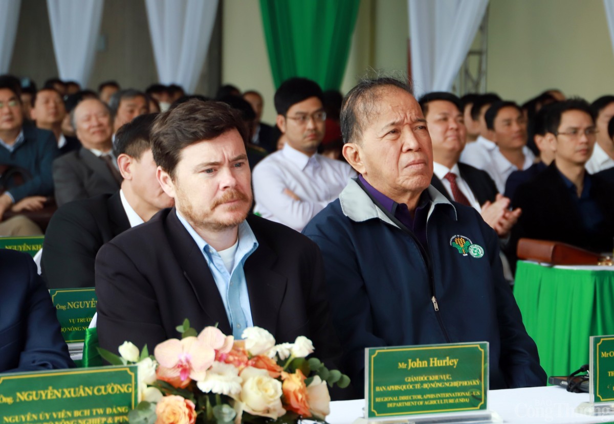 Philippines cần vắc xin dịch tả lợn, Việt Nam sẵn hàng xuất