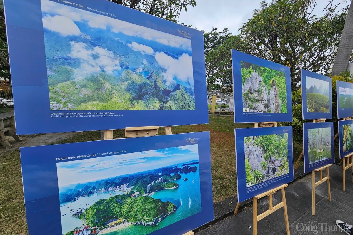 Một số tác phẩm được trưng bày tại buổi triển lãm