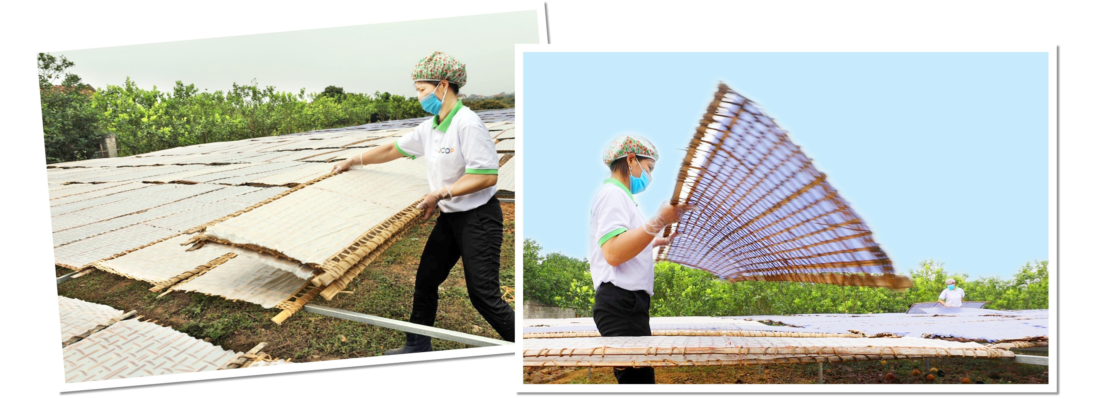 Bài 3: Sáp nhập tỉnh, nâng tầm cấp xã tạo thế và lực mới - 5