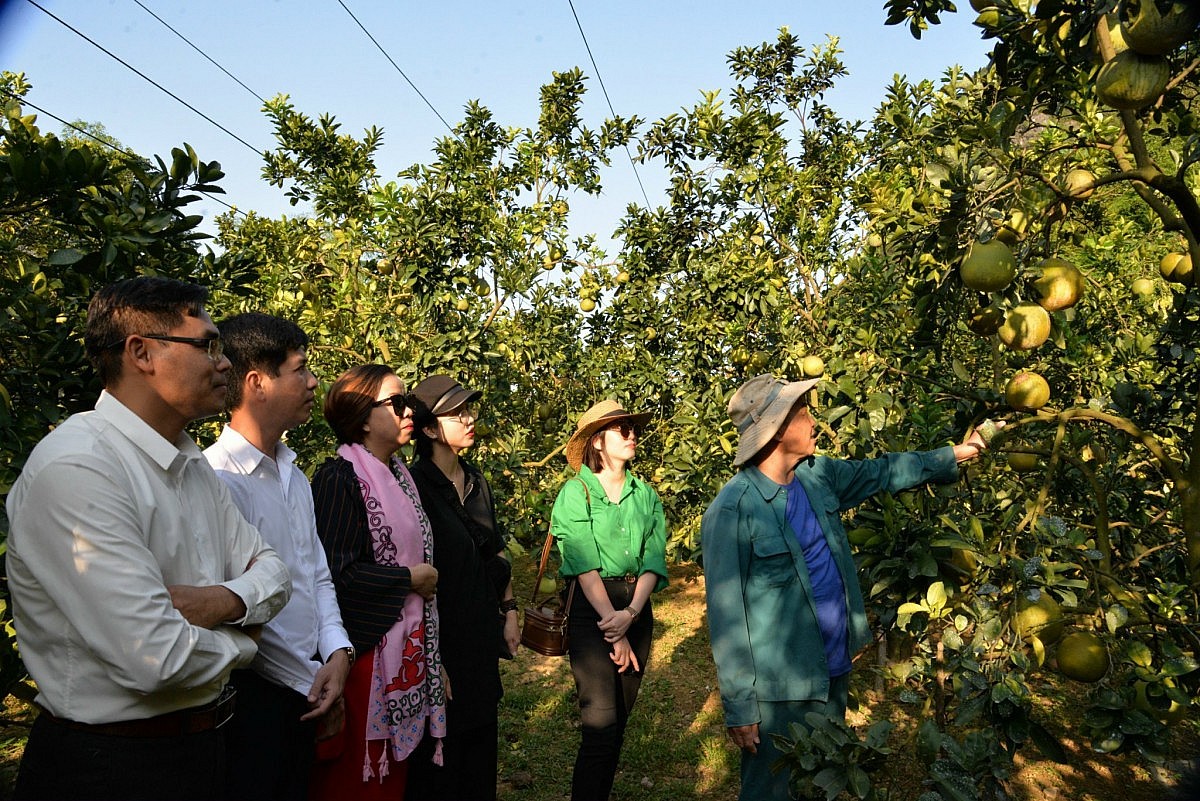 Sản phẩm vùng dân tộc, miền núi Lạng Sơn: Vươn xa từ ‘bệ phóng’ du lịch
