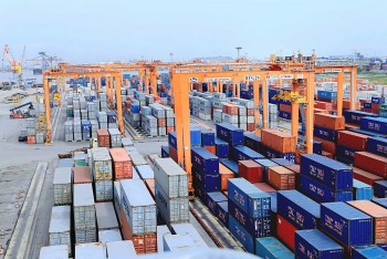 Infographic| Xuất nhập khẩu hàng hóa đạt hơn 162 tỷ USD