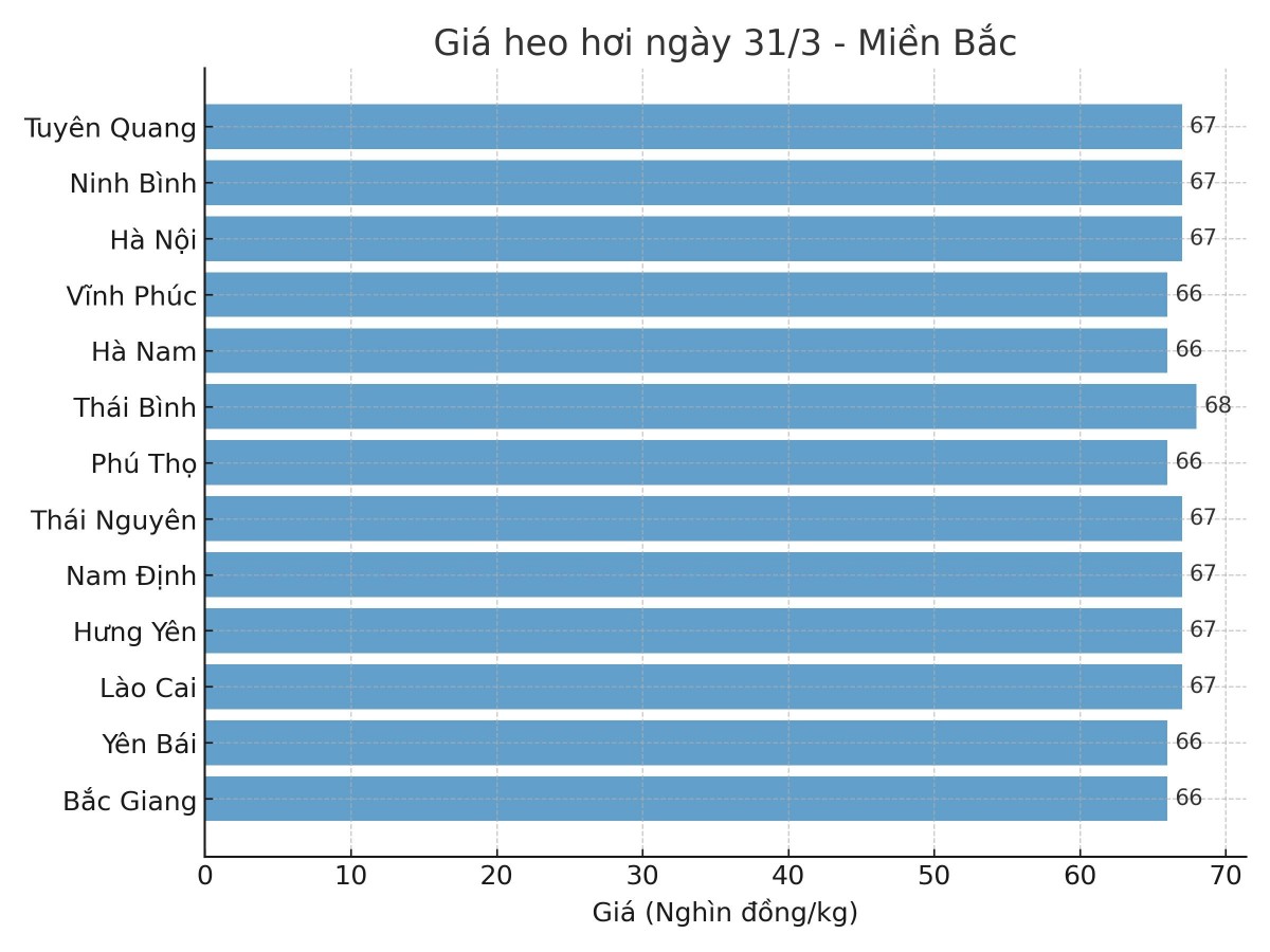 Biểu đồ giá heo hơi tại các tỉnh miền Bắc ngày 31/3.
