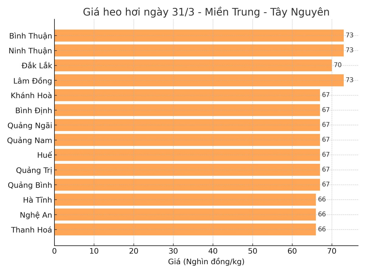 Biểu đồ giá heo hơi tại các tỉnh miền Trung - Tây Nguyên ngày 31/3.