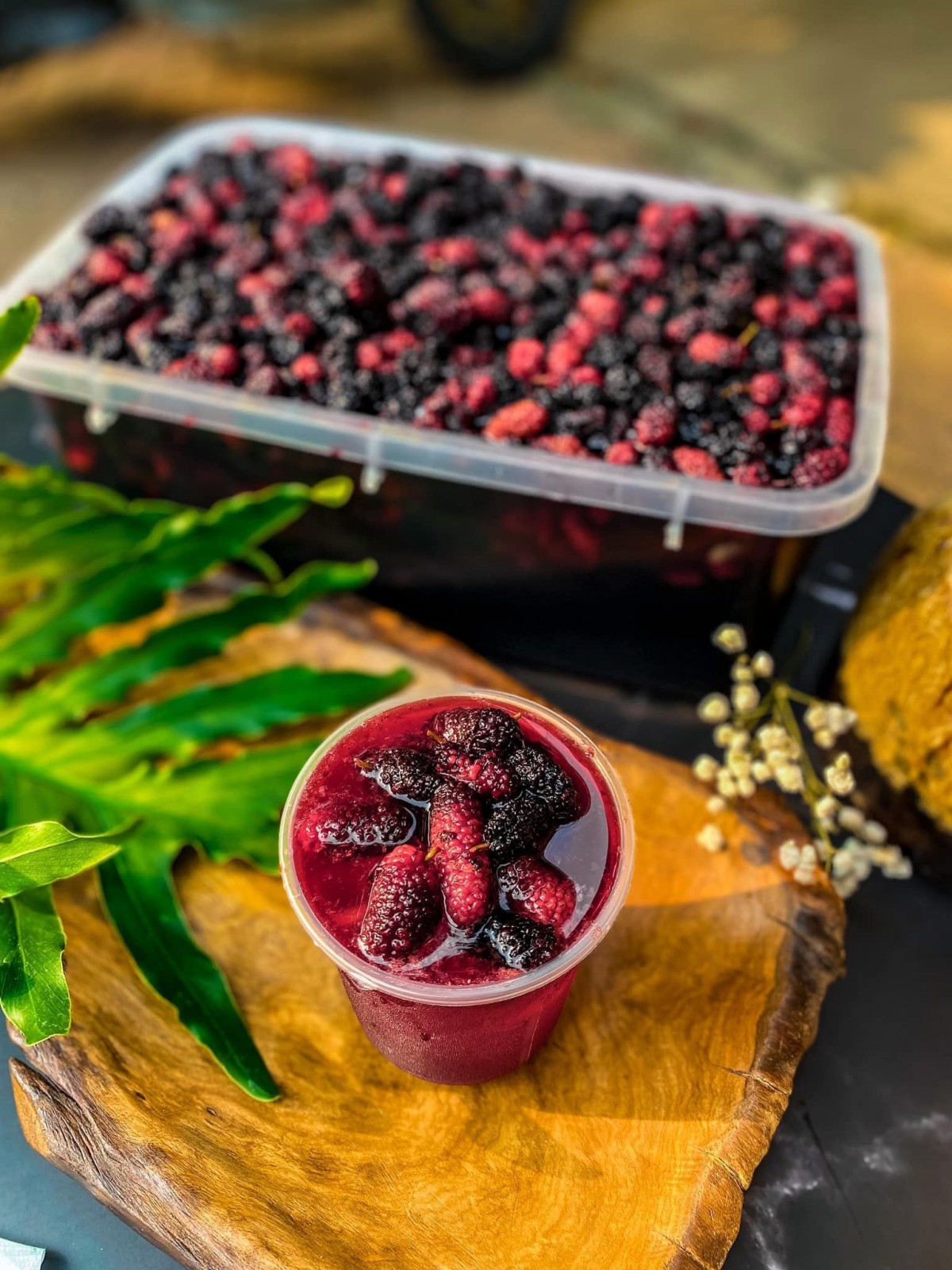 Dâu tằm vào mùa, giá rẻ chỉ từ 20.000 -50.000 đồng/kg