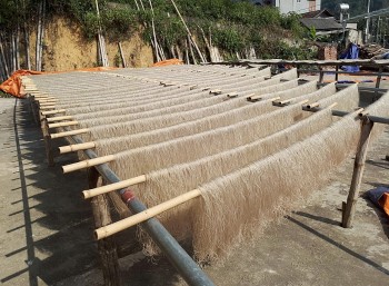 Miến dong Bắc Kạn: Hành trình thoát nghèo từ cây dong riềng