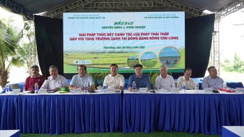 Canh tác lúa giảm phát thải: Nâng giá trị hạt gạo Việt