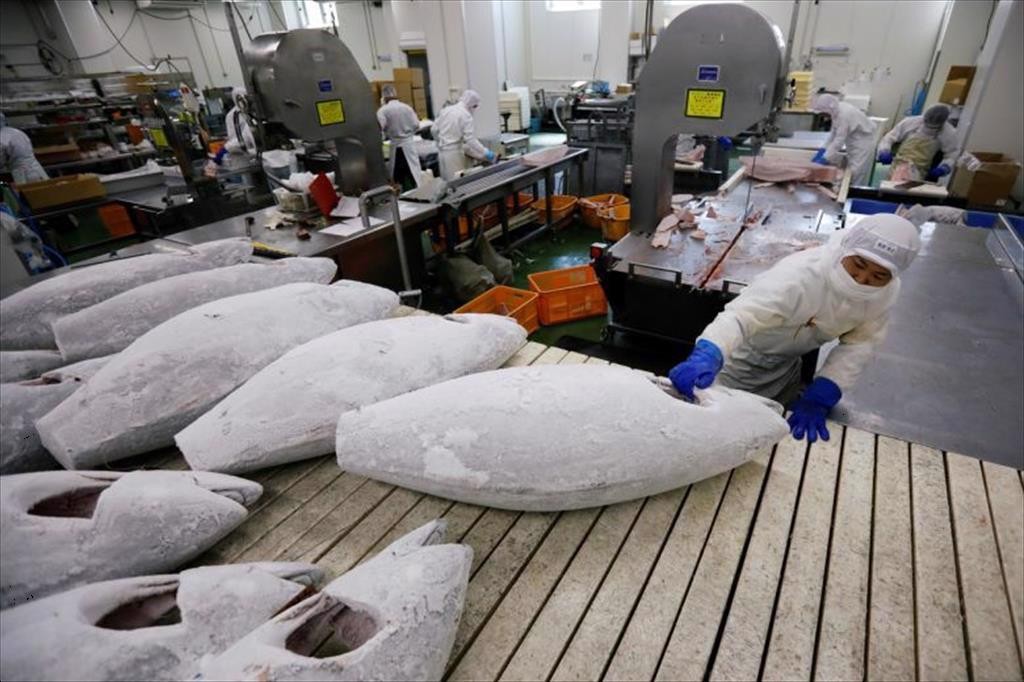 Không để lỡ nhịp xuất khẩu thủy sản sang Hoa Kỳ Không để lỡ nhịp xuất khẩu thủy sản sang Hoa Kỳ