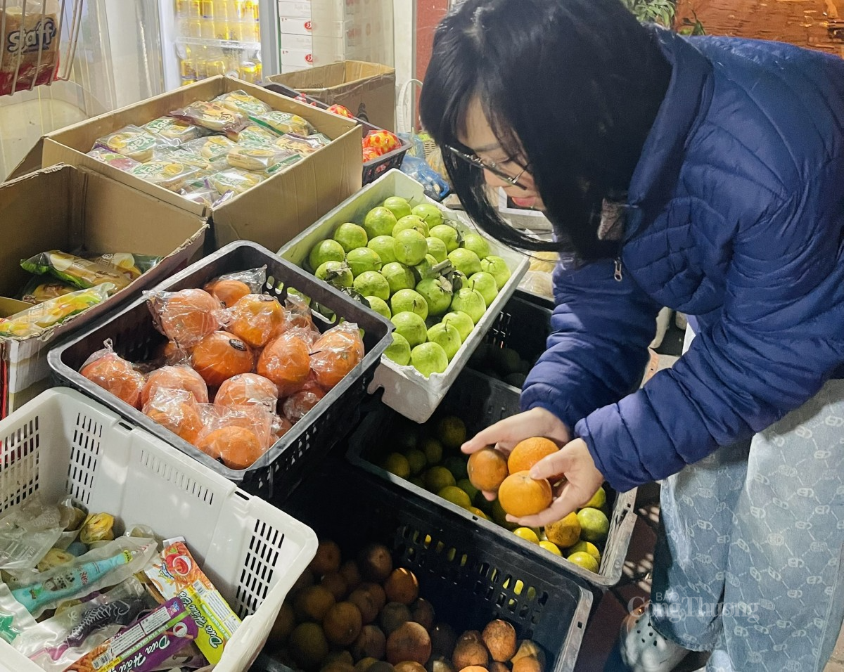 Khách hàng đang lựa chọn mua quýt sim về sử dụng. Ảnh: Nguyễn Thanh Khách hàng đang lựa chọn mua quýt sim về sử dụng. Ảnh: Nguyễn Thanh