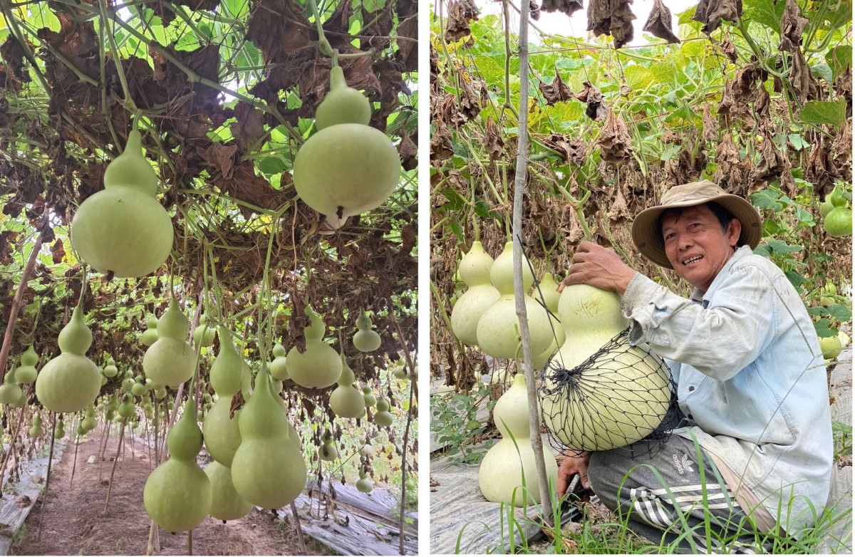 Hàng Việt từ vùng xa được ‘săn đón’ tại Vietnam Expo 2025 Hàng Việt từ vùng xa được ‘săn đón’ tại Vietnam Expo 2025