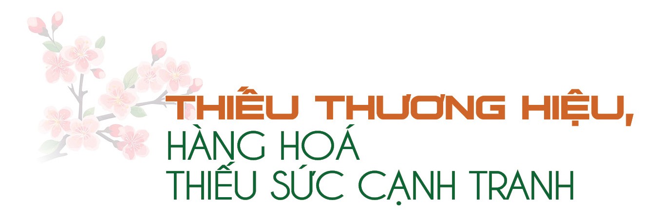 Longform | Chuyên gia ‘hiến kế’ xây dựng thương hiệu cho nông sản vùng dân tộc Longform | Chuyên gia ‘hiến kế’ xây dựng thương hiệu cho nông sản vùng dân tộc