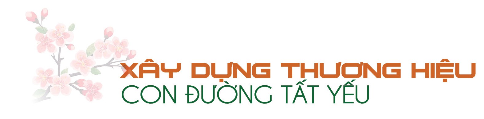 Longform | Chuyên gia ‘hiến kế’ xây dựng thương hiệu cho nông sản vùng dân tộc Longform | Chuyên gia ‘hiến kế’ xây dựng thương hiệu cho nông sản vùng dân tộc