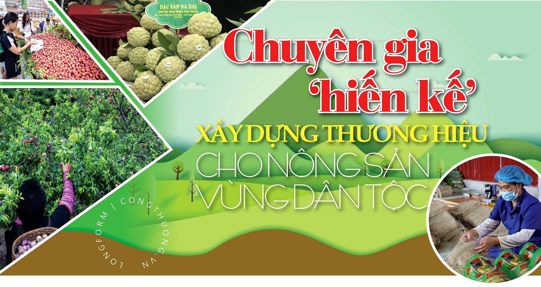 Longform | Chuyên gia ‘hiến kế’ xây dựng thương hiệu cho nông sản vùng dân tộc Longform | Chuyên gia ‘hiến kế’ xây dựng thương hiệu cho nông sản vùng dân tộc
