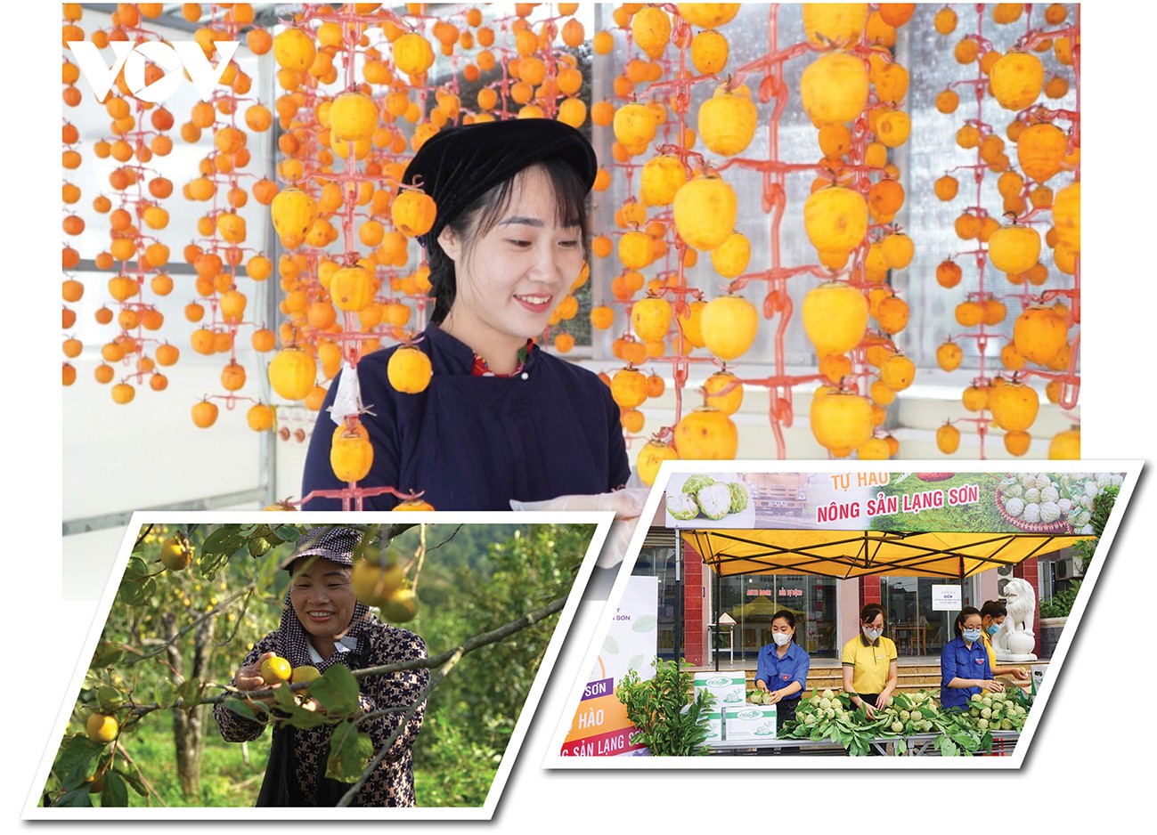Longform | Chuyên gia ‘hiến kế’ xây dựng thương hiệu cho nông sản vùng dân tộc Longform | Chuyên gia ‘hiến kế’ xây dựng thương hiệu cho nông sản vùng dân tộc