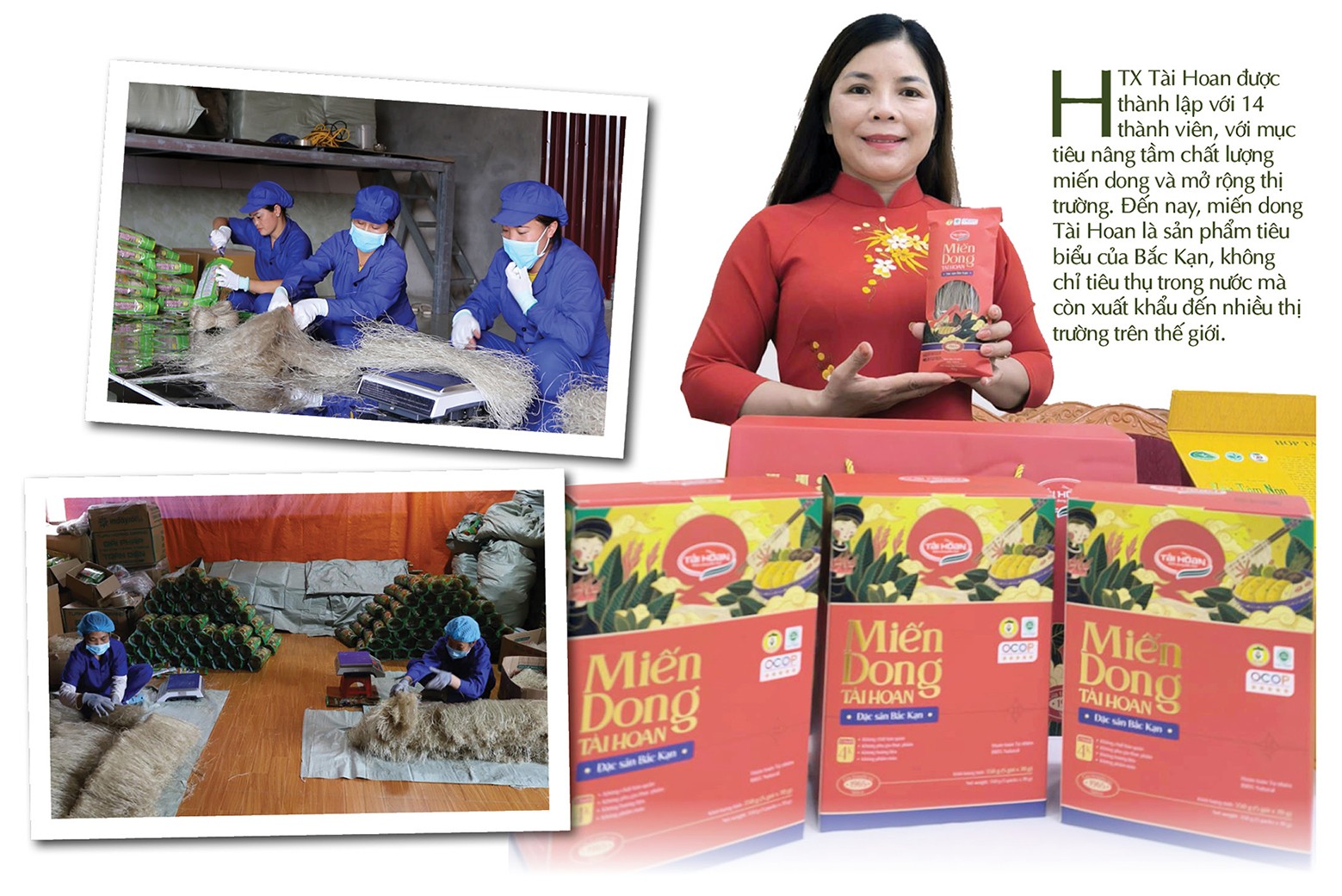 Longform | Chuyên gia ‘hiến kế’ xây dựng thương hiệu cho nông sản vùng dân tộc Longform | Chuyên gia ‘hiến kế’ xây dựng thương hiệu cho nông sản vùng dân tộc