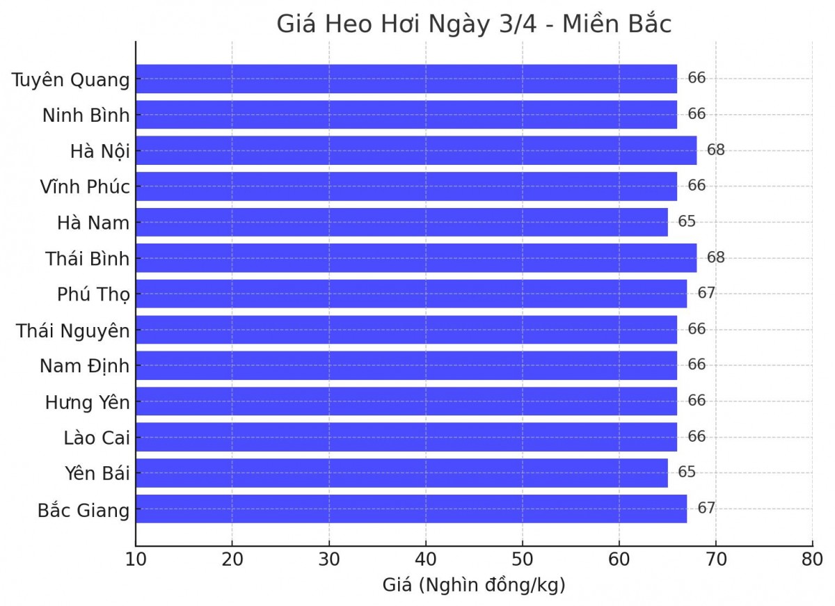 Biểu đồ giá heo hơi tại các tỉnh miền Bắc ngày 3/4.