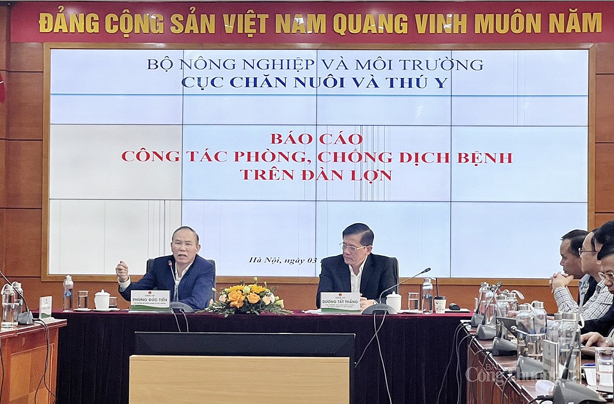 Hội nghị Phòng chống dịch bệnh và phát triển chăn nuôi lợn trong tình hình mới do Bộ Nông nghiệp và Môi trường tổ chức sáng 3/4, tại Hà Nội. Hội nghị Phòng chống dịch bệnh và phát triển chăn nuôi lợn trong tình hình mới do Bộ Nông nghiệp và Môi trường tổ chức sáng 3/4, tại Hà Nội.