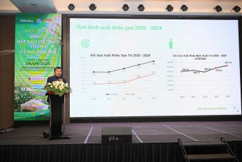 Doanh nghiệp ngành lúa gạo muốn vay không có tài sản bảo đảm