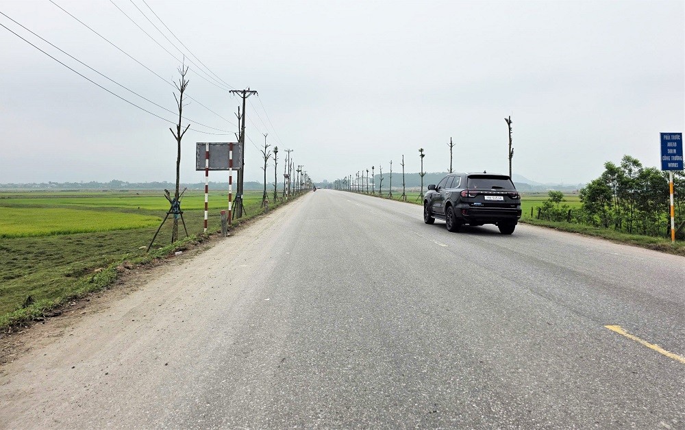 dự án trồng cây xanh hà tĩnh dự án trồng cây xanh hà tĩnh