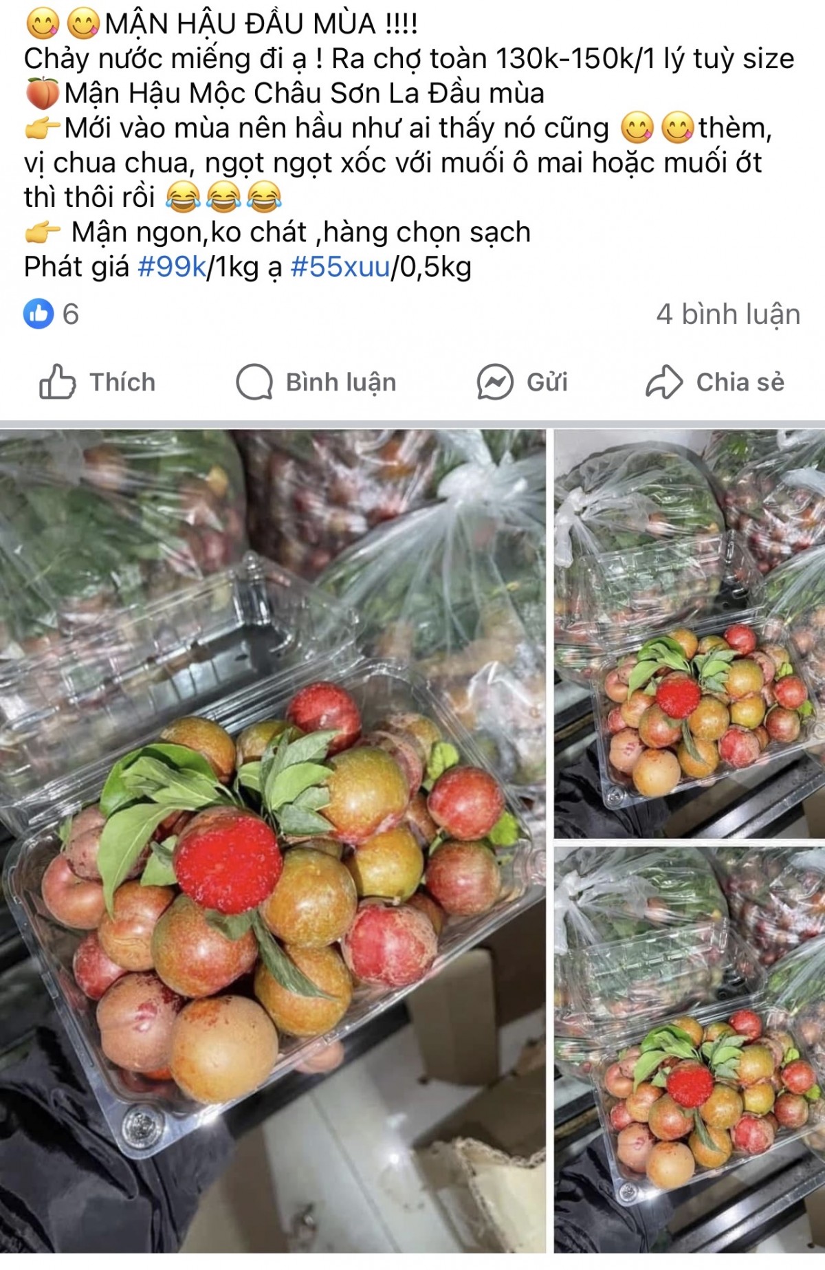 Mận hậu được rao bán khắp