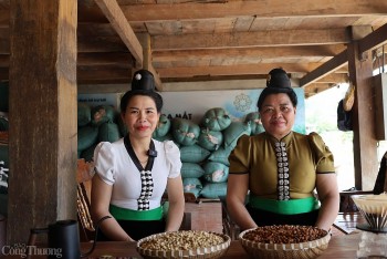 Giấc mơ thoát nghèo ươm mầm từ những hạt cà phê