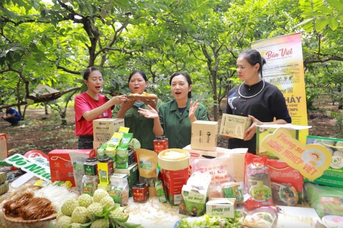 Thái Nguyên phát triển thương mại điện tử, xây 'cao tốc số'