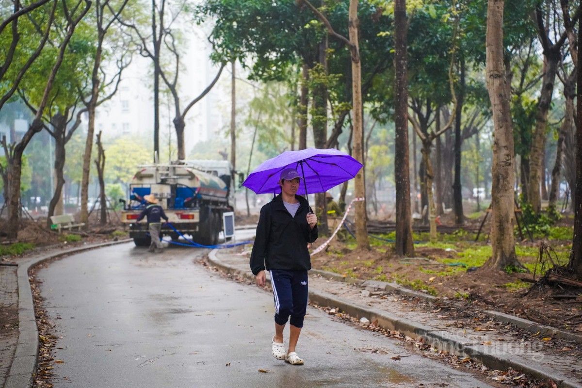 Trồng thêm cây xanh ở lá phối xanh công viên Cầu Giấy