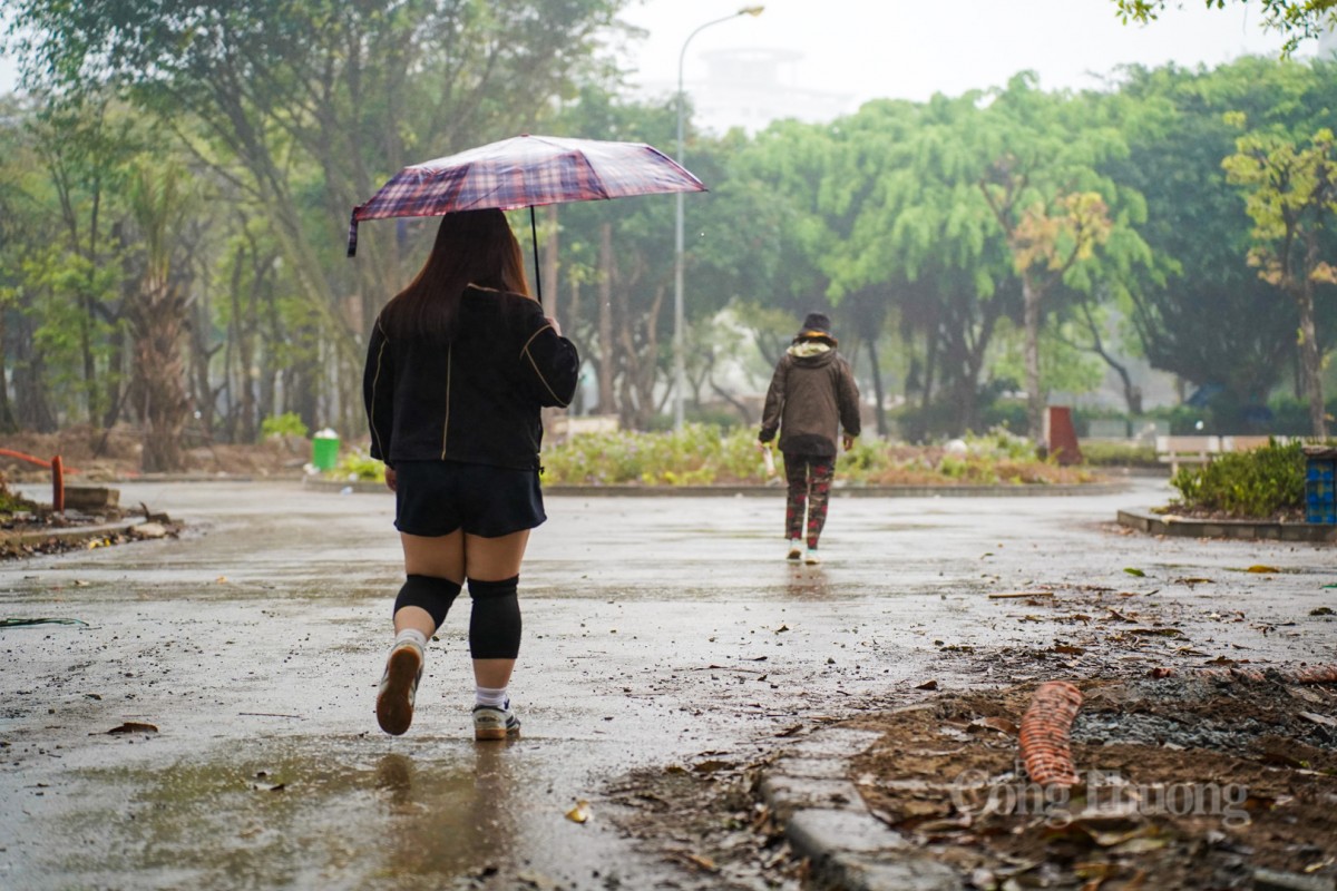 Trồng thêm cây xanh ở lá phối xanh công viên Cầu Giấy