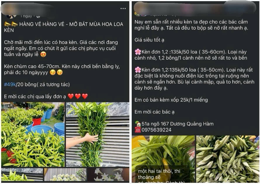 Nhiều cửa hàng online liên tục cập nhật giá hoa loa từng ngày, kèm theo những lời mô tả hấp dẫn phục vụ khách hàng. Ảnh: Chụp màn hình Nhiều cửa hàng online liên tục cập nhật giá hoa loa từng ngày, kèm theo những lời mô tả hấp dẫn phục vụ khách hàng. Ảnh: Chụp màn hình