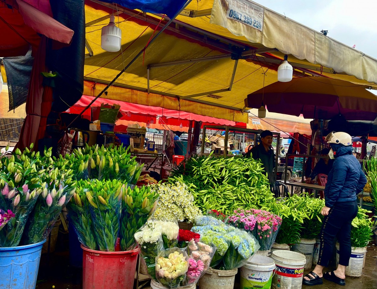 Đang ở đúng độ hoa loa kèn đẹp nhất, nhiều người lựa chọn loài hoa này để trưng trong không gian sống của mình. Ảnh: Minh Tiến Đang ở đúng độ hoa loa kèn đẹp nhất, nhiều người lựa chọn loài hoa này để trưng trong không gian sống của mình. Ảnh: Minh Tiến