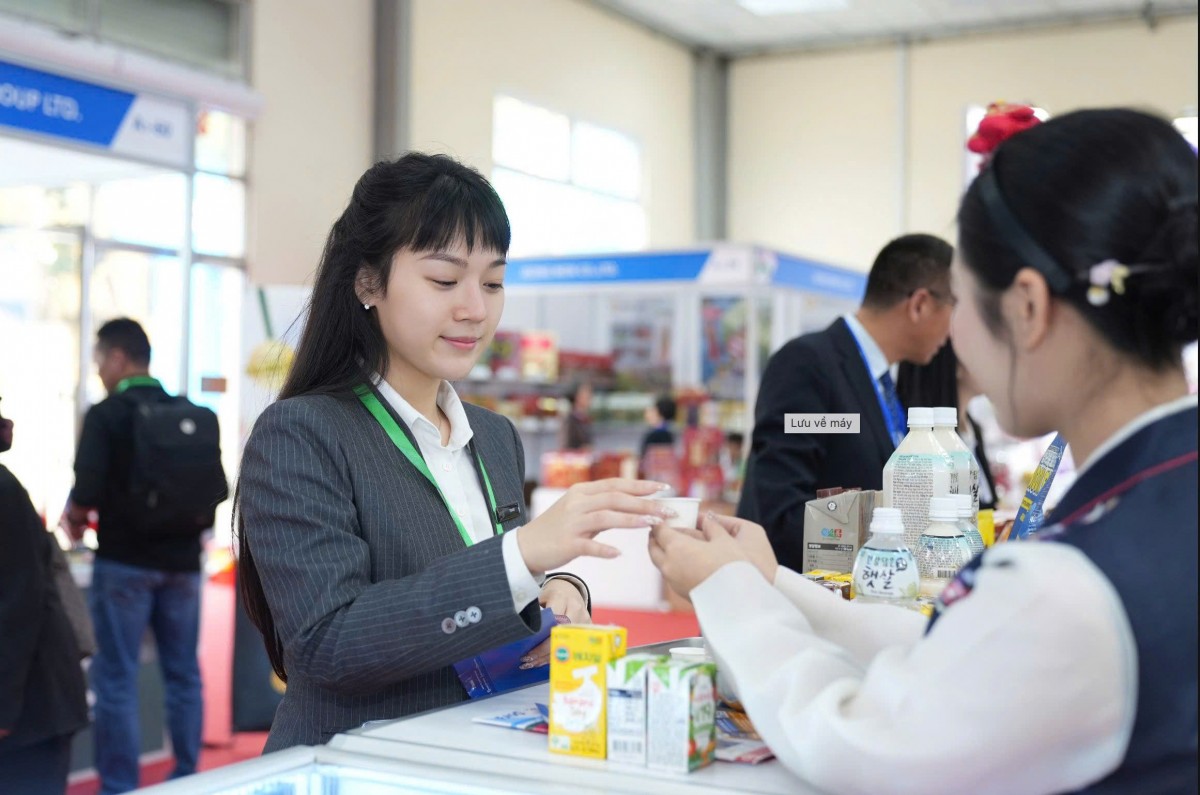 paso Việt Nam paso Việt Nam