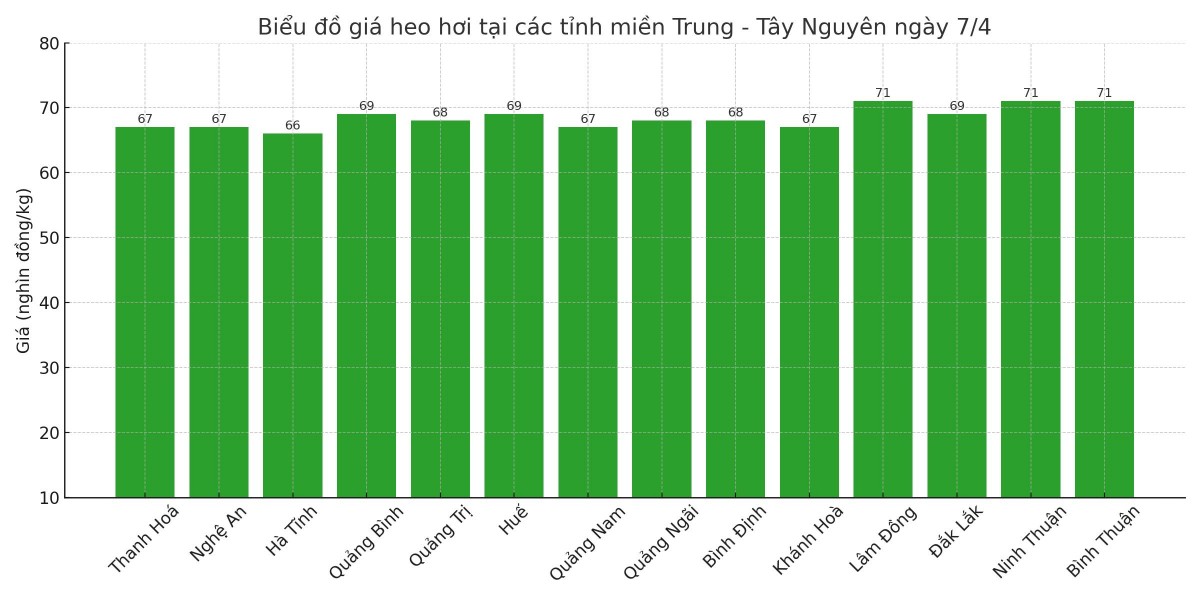 Biểu đồ giá heo hơi tại các tỉnh miền Trung - Tây Nguyên ngày 7/4. Biểu đồ giá heo hơi tại các tỉnh miền Trung - Tây Nguyên ngày 7/4.