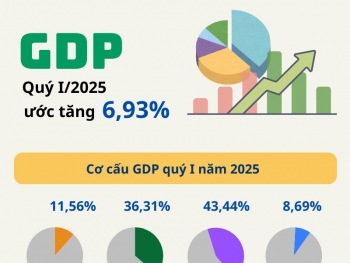Infographic | Tỉnh, thành có tăng trưởng GRDP trên 10% trong Quý I/2025