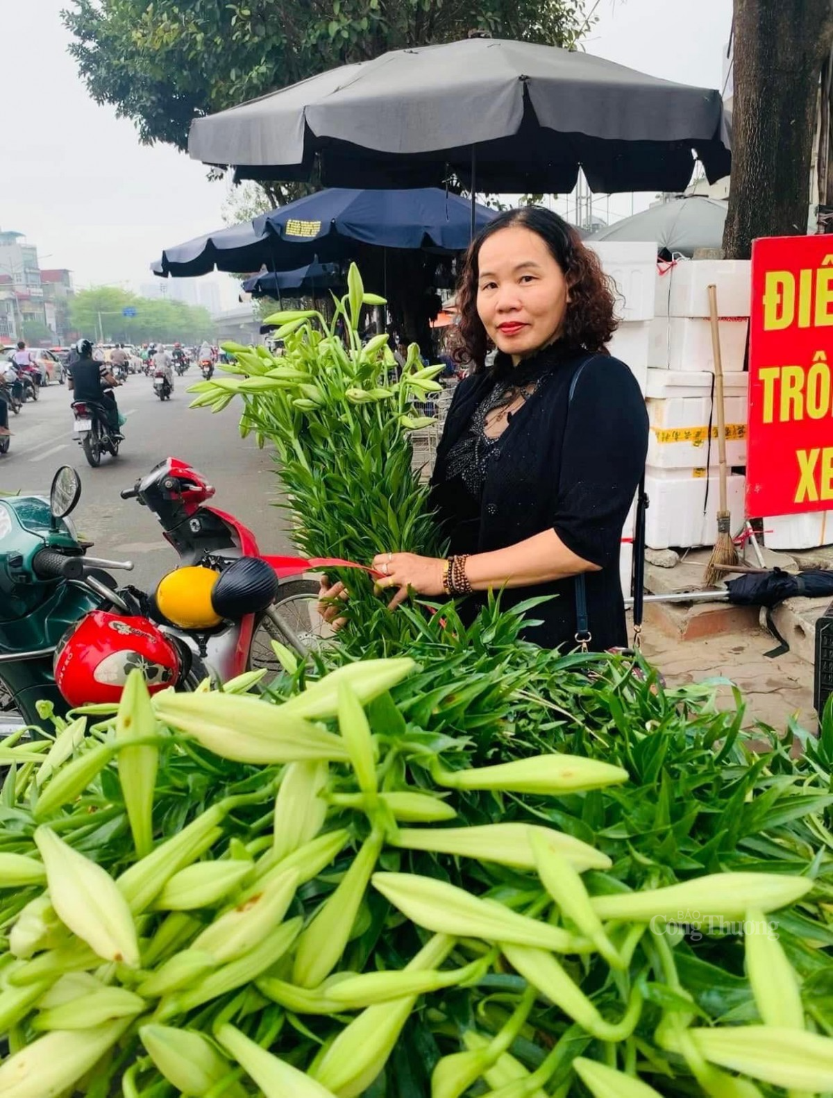 Hoa loa kèn giá cao, người Hà Thành vẫn ‘rút ví’ mua Hoa loa kèn giá cao, người Hà Thành vẫn ‘rút ví’ mua