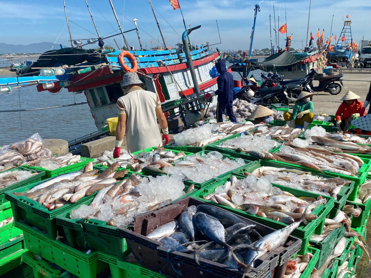 Bà Rịa - Vũng Tàu: Doanh nghiệp chủ động chuyển hướng xuất khẩu Bà Rịa - Vũng Tàu: Doanh nghiệp chủ động chuyển hướng xuất khẩu