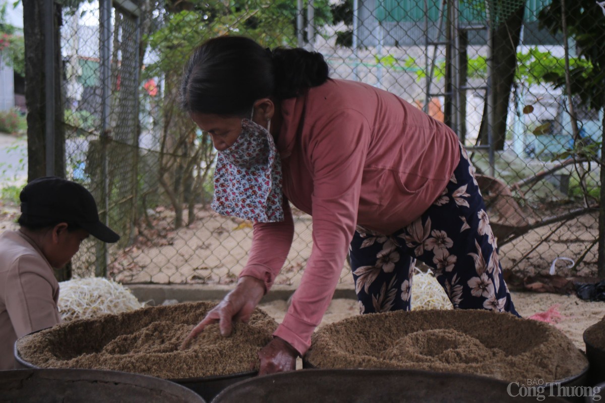 Đậu xanh sau khi ngâm được trộn với cát đã sàng sạch, cho vào thùng phuy.