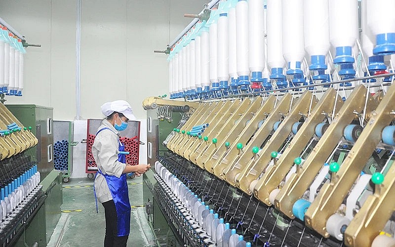 Cây gai xanh ‘nở hoa’ nơi rẻo cao Cây gai xanh ‘nở hoa’ nơi rẻo cao