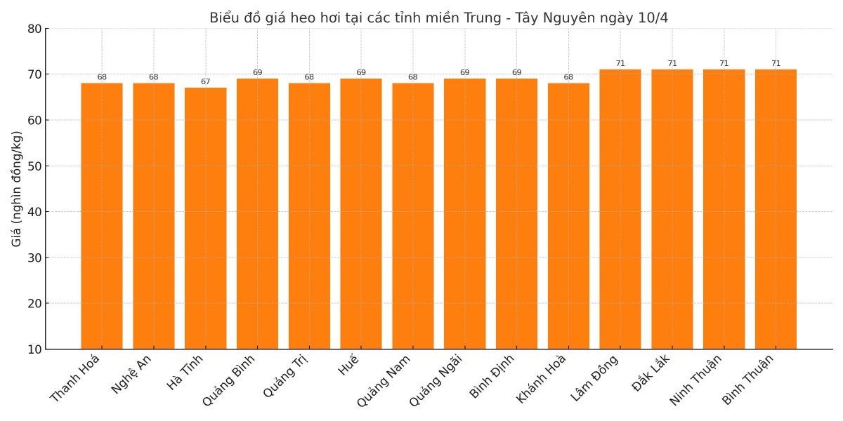 Biểu đồ giá heo hơi tại các tỉnh miền Trung - Tây Nguyên ngày 10/4.