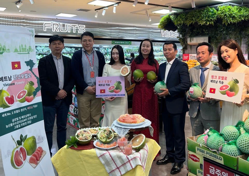 Bưởi Việt vào Lotte Mart, mở cửa thị trường nông sản Hàn