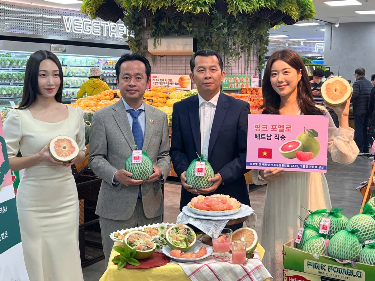 Bưởi Việt vào Lotte Mart, mở cửa thị trường nông sản Hàn