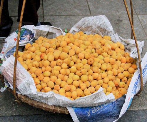 Với nhiều người Hà Nội, mơ ngâm đường, ngâm rượu hay làm ô mai không chỉ là đồ uống, đồ ăn vào mùa hè nóng bức, mà còn là một phần ký ức Với nhiều người Hà Nội, mơ ngâm đường, ngâm rượu hay làm ô mai không chỉ là đồ uống, đồ ăn vào mùa hè nóng bức, mà còn là một phần ký ức