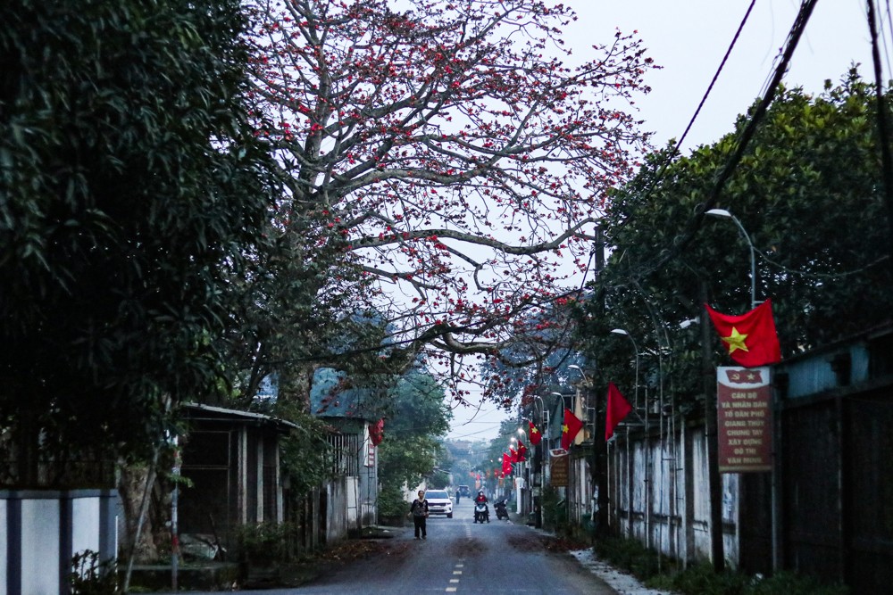 cây gạo 200 tuổi nguyễn du