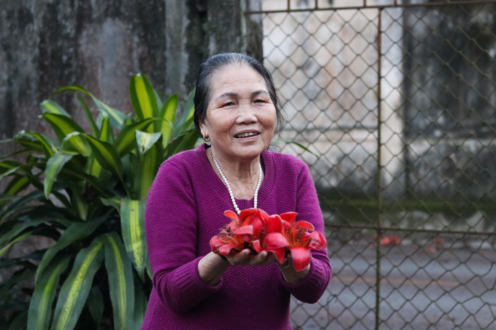 cây gạo 200 tuổi nguyễn du