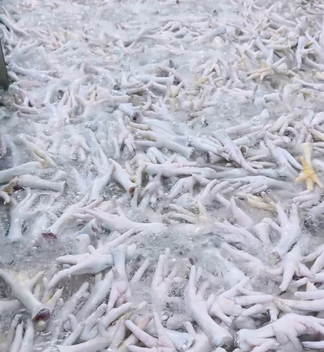 ‘Ăn Cùng Bà Tuyết lên tiếng sau phản ánh về sản phẩm chân gà chưa chín