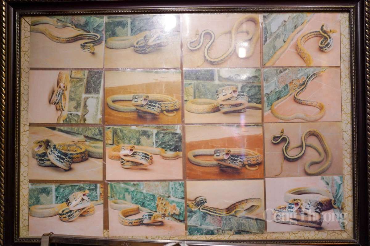 Đền Quan Đệ Tứ nổi tiếng linh thiêng với truyền thuyết lạ