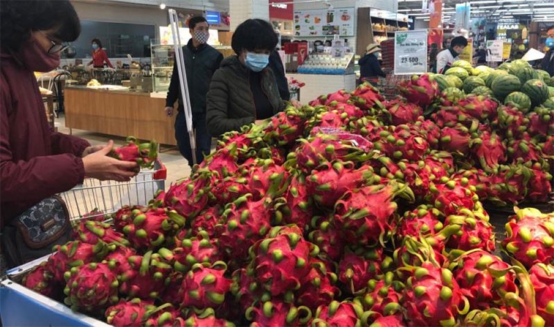 Sầu riêng mất ngôi đầu, thanh long vươn lên dẫn dắt Sầu riêng mất ngôi đầu, thanh long vươn lên dẫn dắt