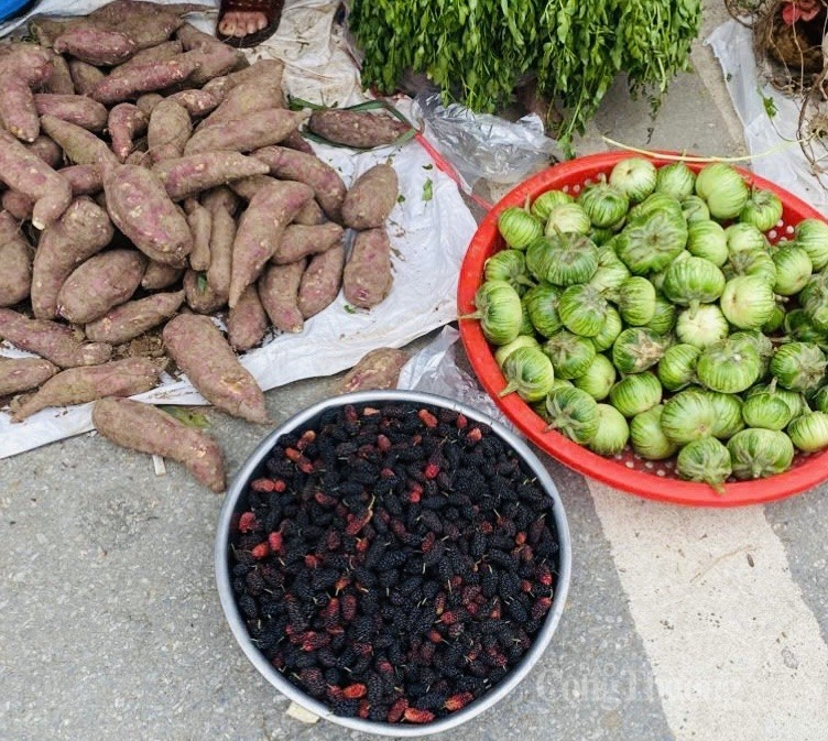 Dâu tằm không chỉ thu hút người tiêu dùng nhờ vị chua ngọt hấp dẫn mà còn bởi những giá trị dinh dưỡng cao. Ảnh: Nguyễn Thanh Dâu tằm không chỉ thu hút người tiêu dùng nhờ vị chua ngọt hấp dẫn mà còn bởi những giá trị dinh dưỡng cao. Ảnh: Nguyễn Thanh