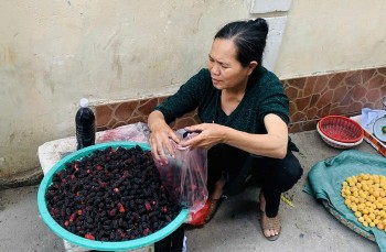 Dâu tằm chín rộ, tiểu thương Hà Nội 'hốt bạc'